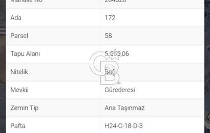 BİLECİK İNHİSARDA SATILIK TARLA