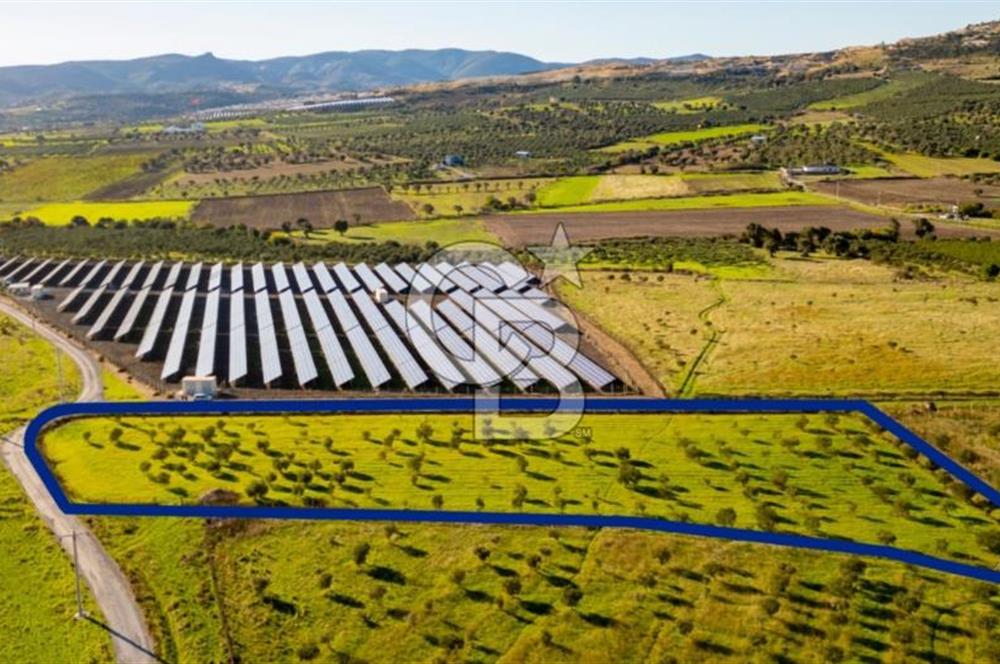 FOÇA KOCAMEHMETLER’DE 6.484 M² TEK TAPU SATILIK TARLA