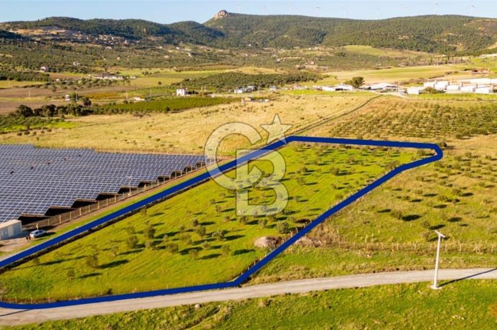 FOÇA KOCAMEHMETLER’DE 6.484 M² TEK TAPU SATILIK TARLA