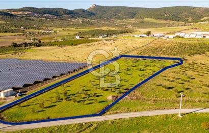 FOÇA KOCAMEHMETLER’DE 6.484 M² TEK TAPU SATILIK TARLA