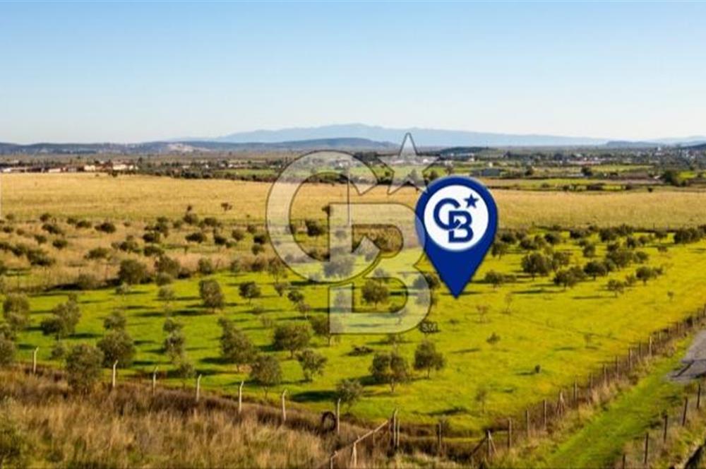 FOÇA KOCAMEHMETLER’DE 6.484 M² TEK TAPU SATILIK TARLA