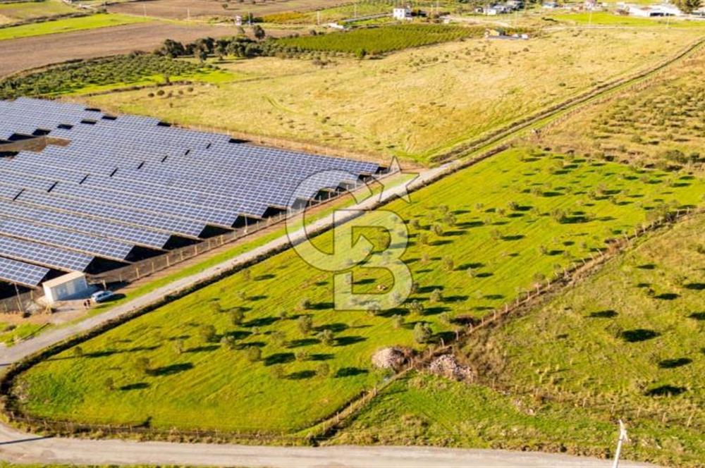FOÇA KOCAMEHMETLER’DE 6.484 M² TEK TAPU SATILIK TARLA