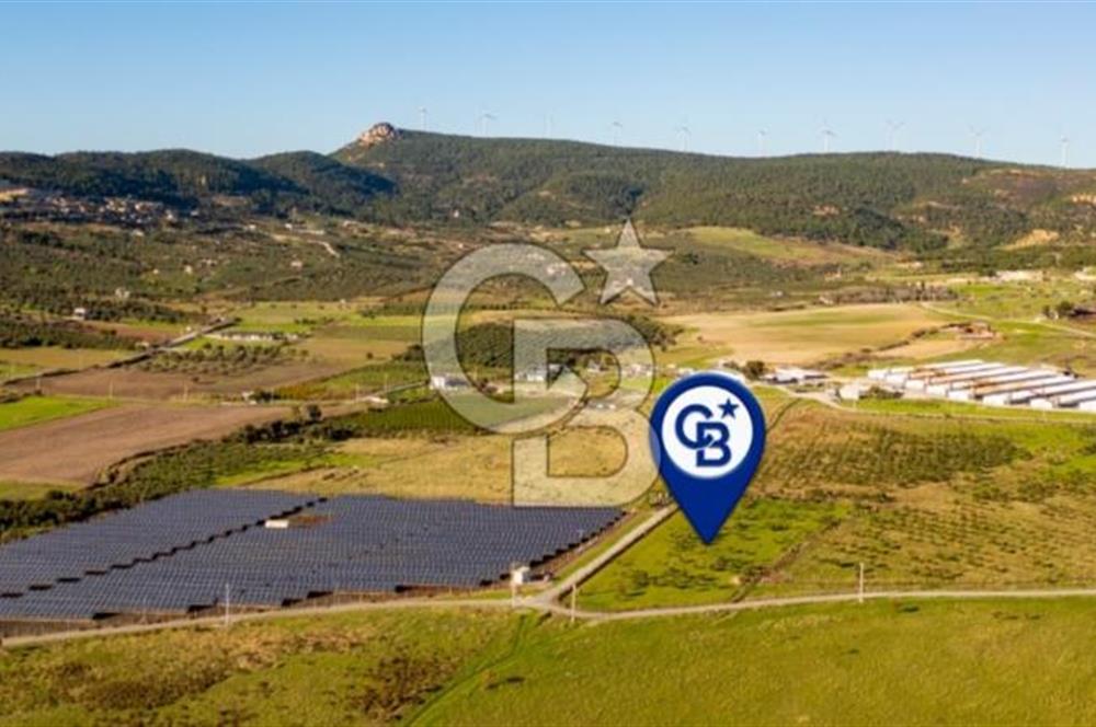 FOÇA KOCAMEHMETLER’DE 6.484 M² TEK TAPU SATILIK TARLA