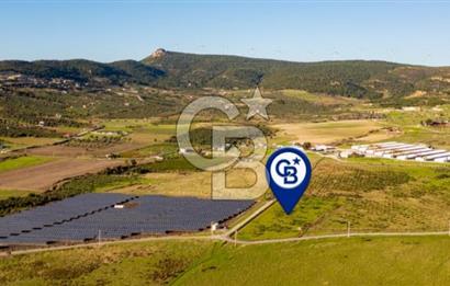 FOÇA KOCAMEHMETLER’DE 6.484 M² TEK TAPU SATILIK TARLA