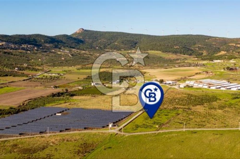 FOÇA KOCAMEHMETLER’DE 6.484 M² TEK TAPU SATILIK TARLA