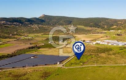 FOÇA KOCAMEHMETLER’DE 6.484 M² TEK TAPU SATILIK TARLA