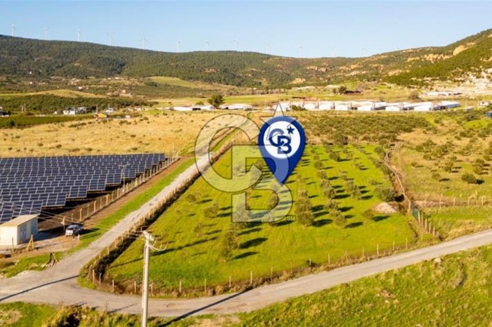 FOÇA KOCAMEHMETLER’DE 6.484 M² TEK TAPU SATILIK TARLA