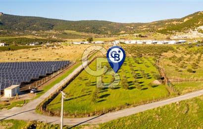 FOÇA KOCAMEHMETLER’DE 6.484 M² TEK TAPU SATILIK TARLA