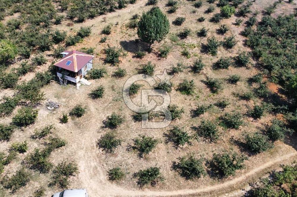 KANDIRA BOLLU KÖYÜNDE SATILIK HARİKA KONUMDA RESMİ YOLLU TARLA