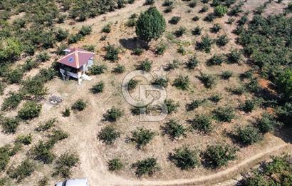 KANDIRA BOLLU KÖYÜNDE SATILIK HARİKA KONUMDA RESMİ YOLLU TARLA