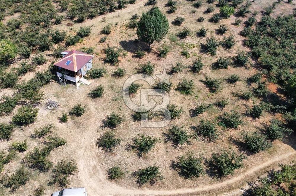 KANDIRA BOLLU KÖYÜNDE SATILIK HARİKA KONUMDA RESMİ YOLLU TARLA
