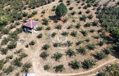 KANDIRA BOLLU KÖYÜNDE SATILIK HARİKA KONUMDA RESMİ YOLLU TARLA