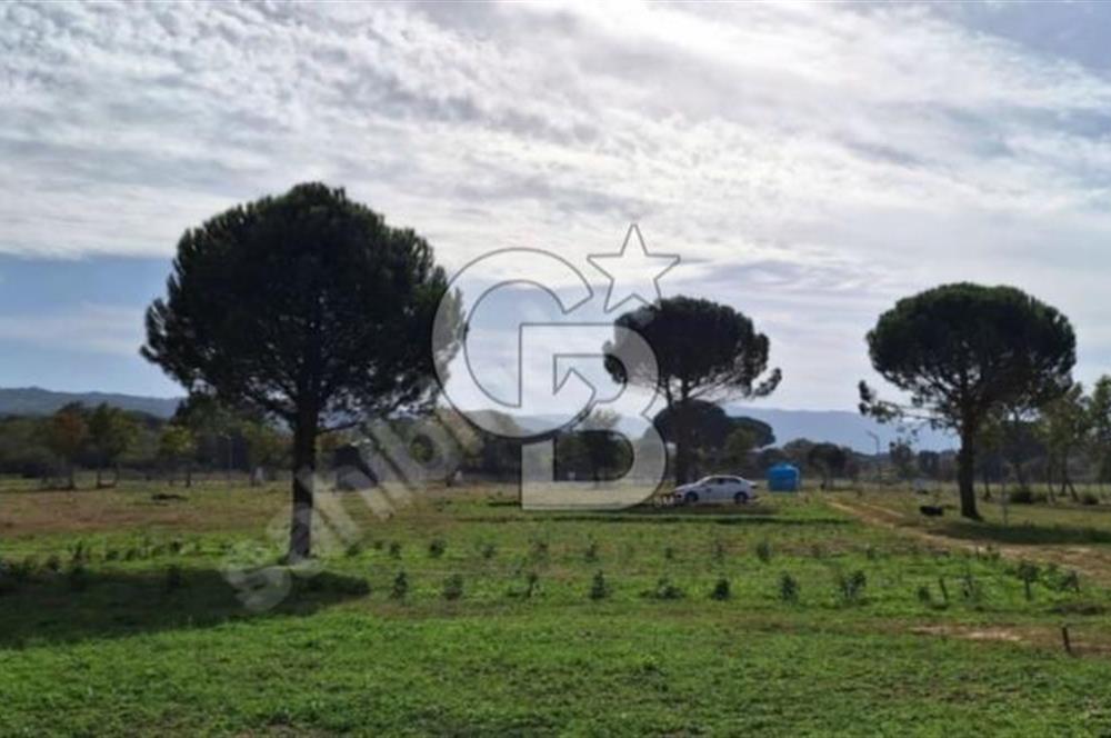 BERGAMA KOZAK YAYLASINDA 200 m2 SATILIK YAŞAM VE YATIRIM BAHÇESİ