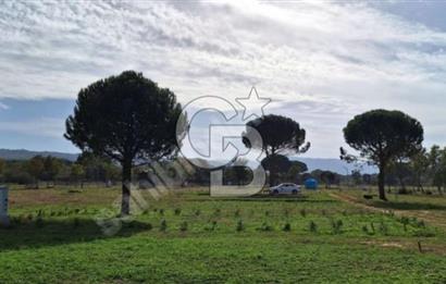 BERGAMA KOZAK YAYLASINDA 200 m2 SATILIK YAŞAM VE YATIRIM BAHÇESİ