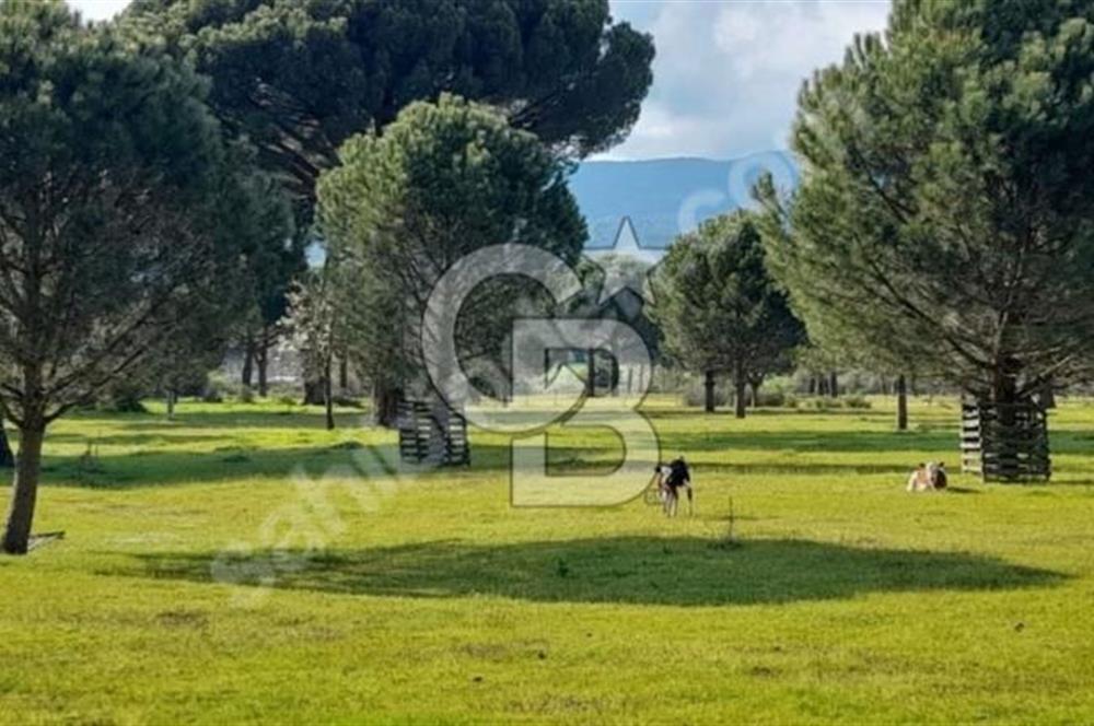 BERGAMA KOZAK YAYLASINDA 200 m2 SATILIK YAŞAM VE YATIRIM BAHÇESİ