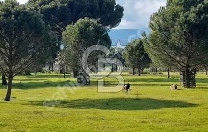 BERGAMA KOZAK YAYLASINDA 200 m2 SATILIK YAŞAM VE YATIRIM BAHÇESİ