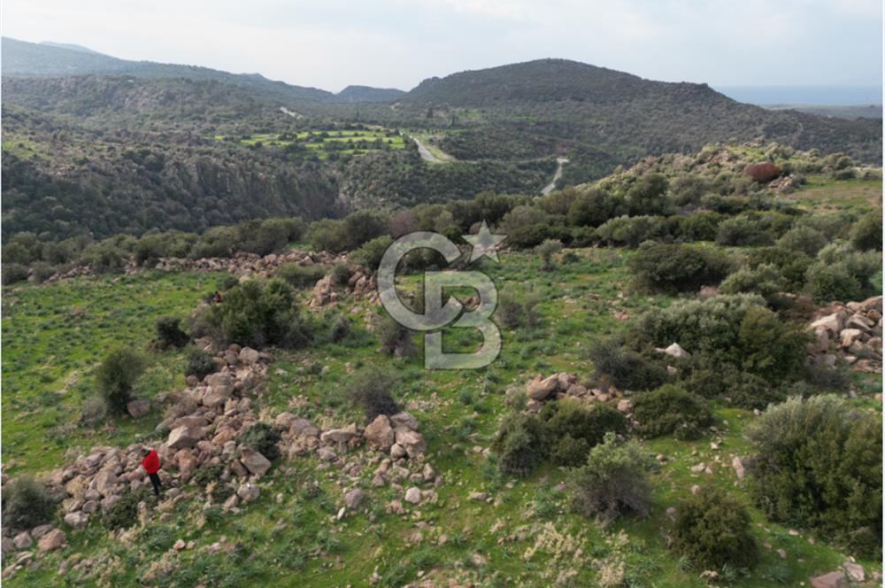 İZMİR/DİKİLİ/BADEMLİ/ SATILIK 360M2 TEK TAPU ARSA
