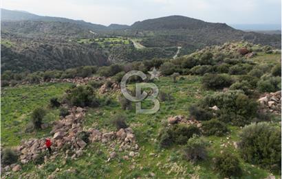 İZMİR/DİKİLİ/BADEMLİ/ SATILIK 360M2 TEK TAPU ARSA
