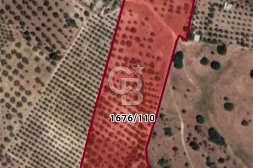 ÇANDARLI'DA SATILIK (700 m²) TARLA HİSSESİ