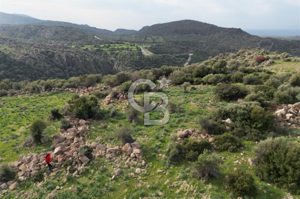 İZMİR/DİKİLİ/BADEMLİ/ SATILIK 360M2 TEK TAPU ARSA