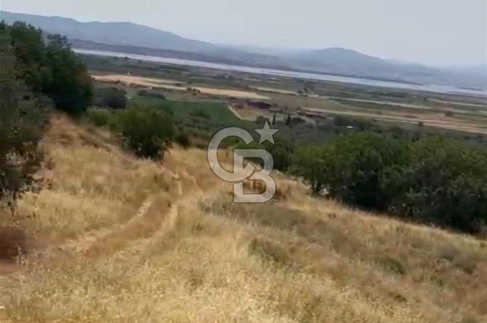 ÇANDARLI'DA SATILIK (700 m²) TARLA HİSSESİ