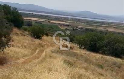 ÇANDARLI'DA SATILIK (700 m²) TARLA HİSSESİ