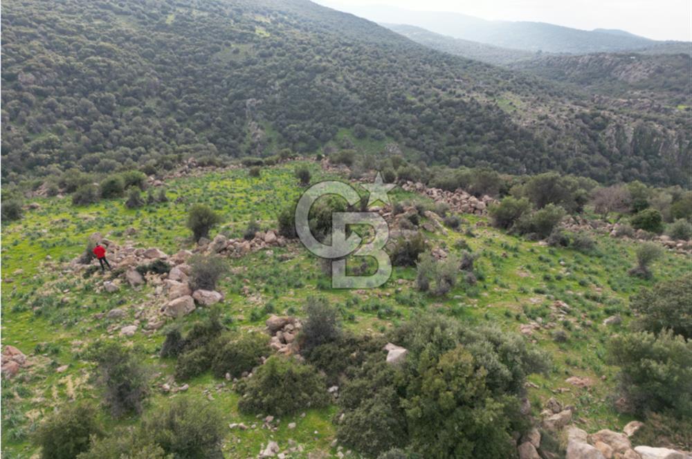 İZMİR/DİKİLİ/BADEMLİ/ SATILIK 360M2 TEK TAPU ARSA