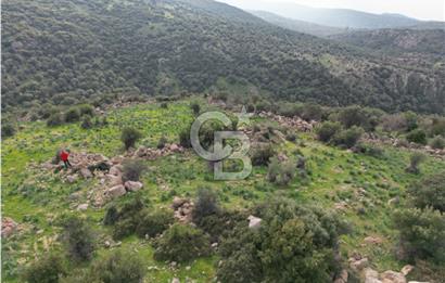 İZMİR/DİKİLİ/BADEMLİ/ SATILIK 360M2 TEK TAPU ARSA