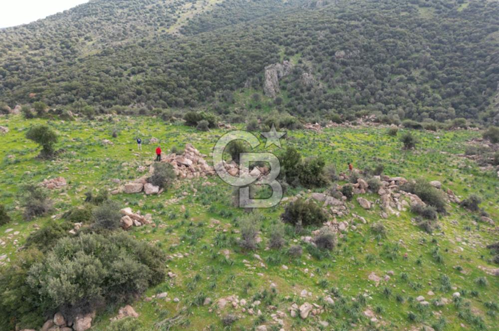 İZMİR/DİKİLİ/BADEMLİ/ SATILIK 360M2 TEK TAPU ARSA