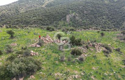 İZMİR/DİKİLİ/BADEMLİ/ SATILIK 360M2 TEK TAPU ARSA
