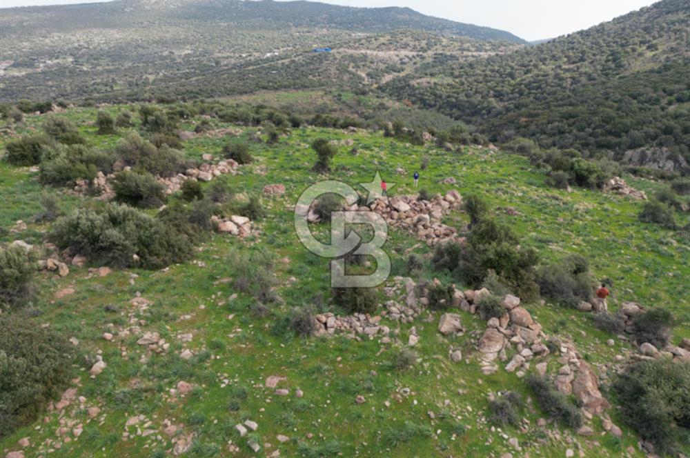 İZMİR/DİKİLİ/BADEMLİ/ SATILIK 360M2 TEK TAPU ARSA