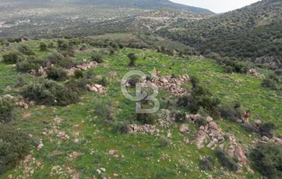 İZMİR/DİKİLİ/BADEMLİ/ SATILIK 360M2 TEK TAPU ARSA