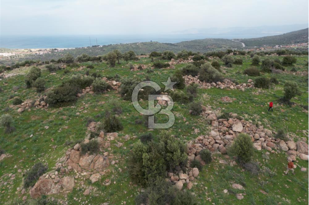 İZMİR/DİKİLİ/BADEMLİ/ SATILIK 360M2 TEK TAPU ARSA