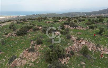 İZMİR/DİKİLİ/BADEMLİ/ SATILIK 360M2 TEK TAPU ARSA