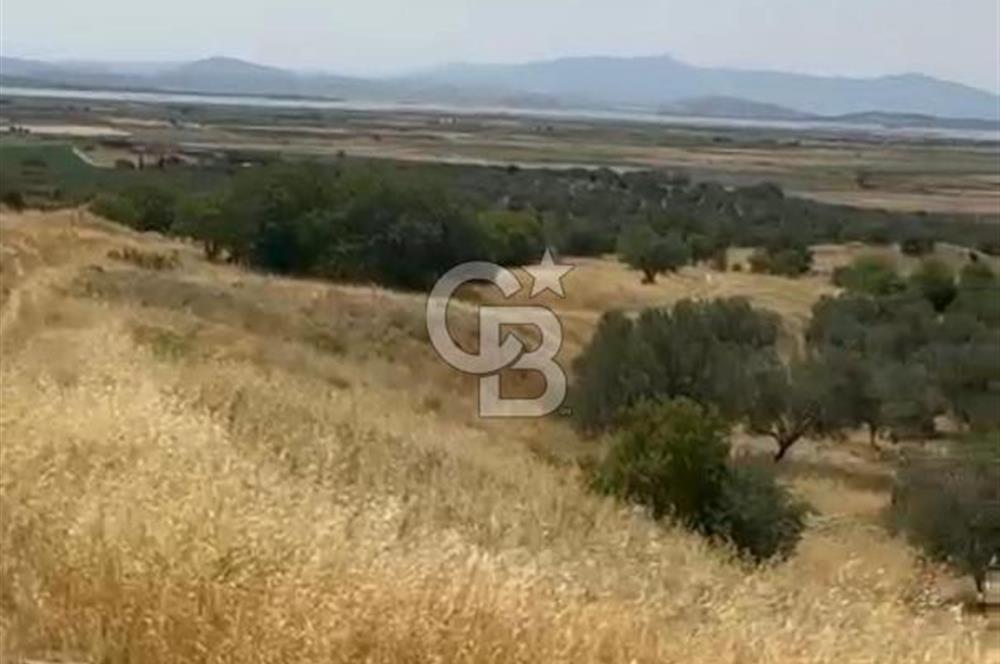 ÇANDARLI'DA SATILIK (700 m²) TARLA HİSSESİ