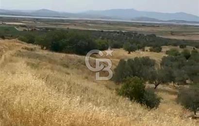 ÇANDARLI'DA SATILIK (700 m²) TARLA HİSSESİ