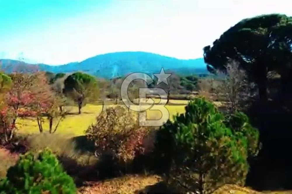 BERGAMA KOZAK YAYLASINDA 200 m2 SATILIK YAŞAM VE YATIRIM BAHÇESİ