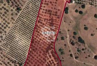 ÇANDARLI'DA SATILIK (700 m²) TARLA HİSSESİ - 6 - 369779