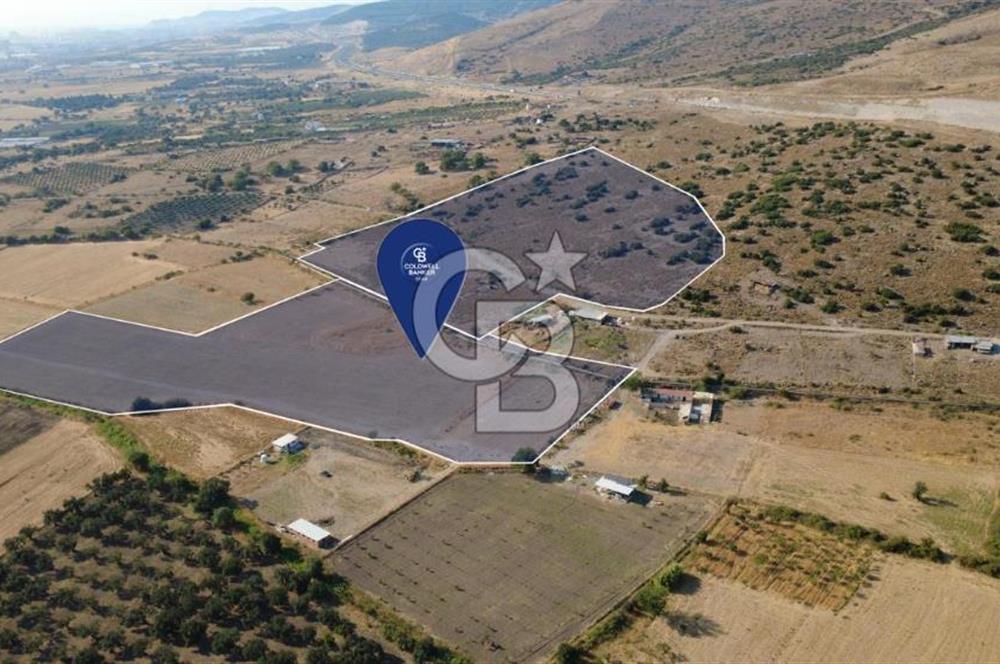 HELVACI'DA SATILIK 101 DÖNÜM TARLA