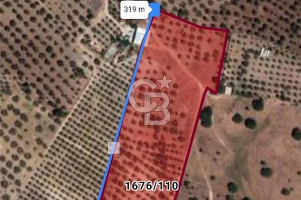 ÇANDARLI'DA SATILIK (700 m²) TARLA HİSSESİ