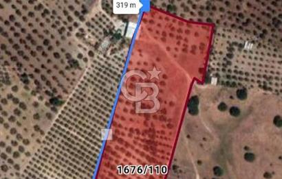 ÇANDARLI'DA SATILIK (700 m²) TARLA HİSSESİ
