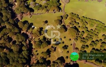 BERGAMA KOZAK YAYLASINDA 200 m2 SATILIK YAŞAM VE YATIRIM BAHÇESİ