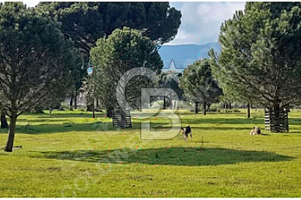 BERGAMA KOZAK YAYLASINDA 200 m2 SATILIK YAŞAM VE YATIRIM BAHÇESİ