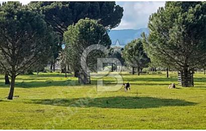 BERGAMA KOZAK YAYLASINDA 200 m2 SATILIK YAŞAM VE YATIRIM BAHÇESİ