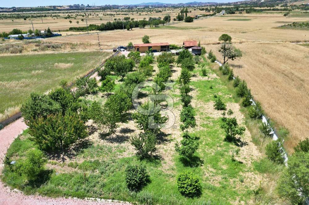 CB OPİA'DAN ŞEHİR'E VE HUZURA YAKIN ; BAĞ EVİ VE ARAZİSİ SATILIK