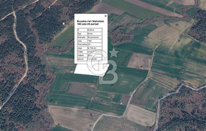 Denize yürüme mesafesinde Yeniyerler Mevkii Satılık 8755m2 Tarla