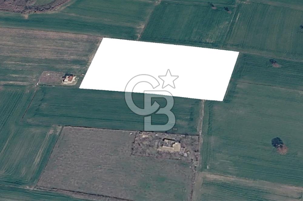 Denize yürüme mesafesinde Yeniyerler Mevkii Satılık 8755m2 Tarla