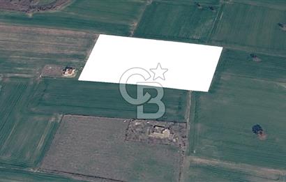 Denize yürüme mesafesinde Yeniyerler Mevkii Satılık 8755m2 Tarla