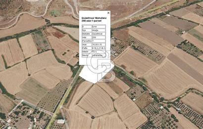 CB Odak'tan Güzelhisar'da Yola Cepheli 6 Dönüm Satılık Tarla