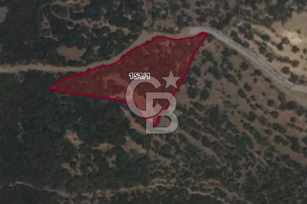 CB Odak'tan Karakuzu'da yola cepheli 4.530 m2 satılık tarla